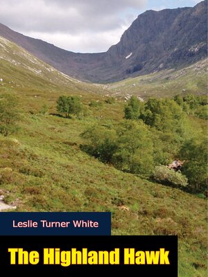 cover image of The Highland Hawk